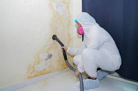 Best Asbestos and Lead Testing During Mold Inspection  in Myrtle Grove, FL